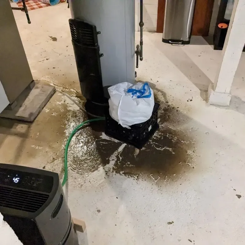 Sewage Backup Cleanup Service in Merrionette Park, IL